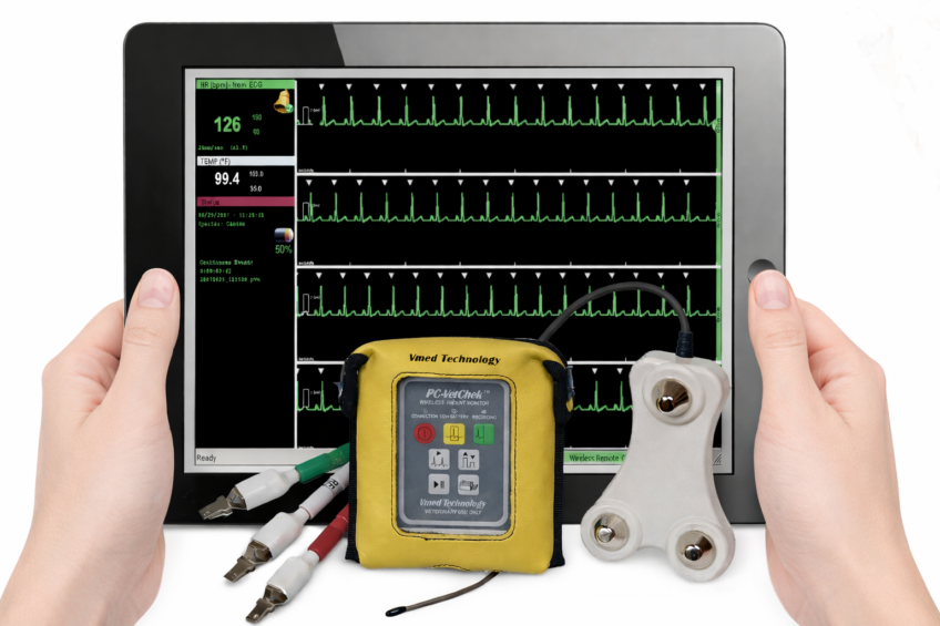 vet<span>check</span>